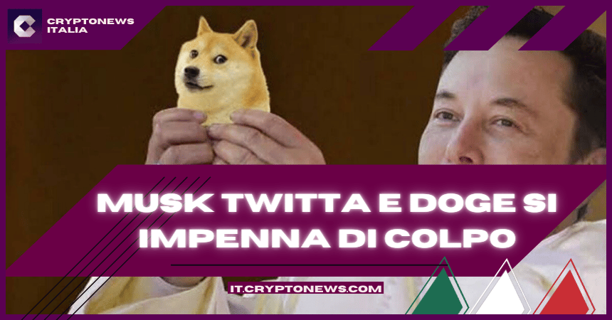 Previsione del prezzo di Dogecoin: Elon Musk pubblica una foto del suo cane su Twitter – Elon sta comprando più DOGE?