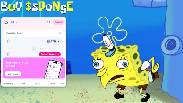 SpongeBob SPONGE