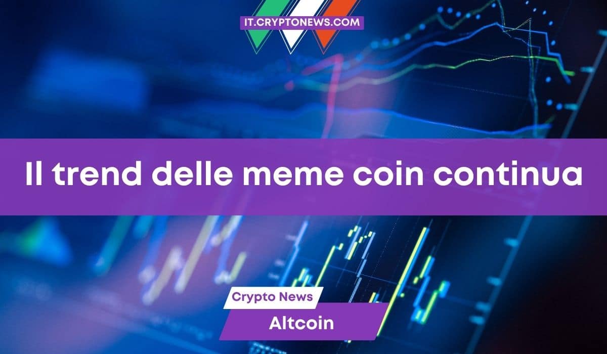 Meme coin