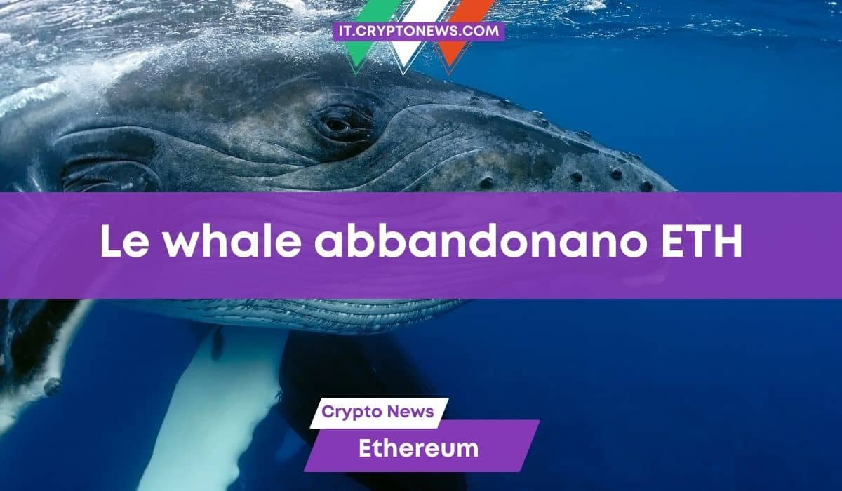Le whale abbandonano Ethereum. Cosa succederà ora?